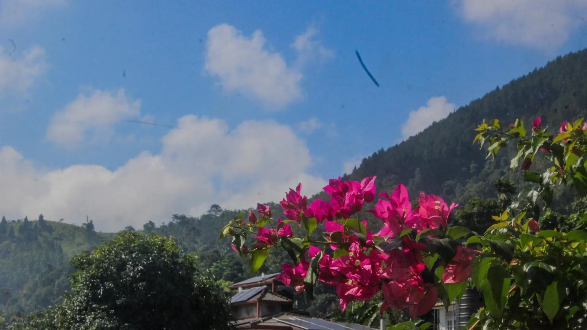 Villa Olde Ceylon Kandy