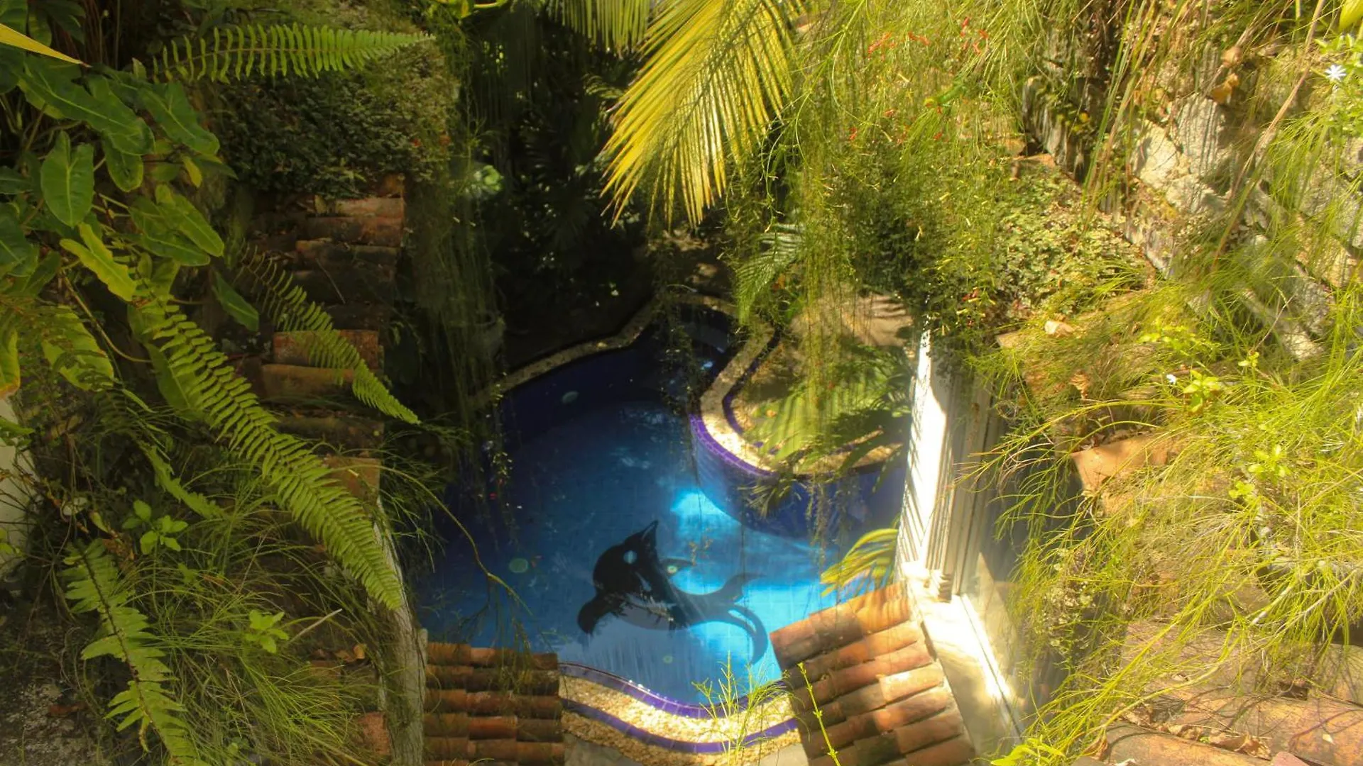 Guest house Villa Olde Ceylon Kandy Sri Lanka